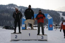 Lenk 2012 SM